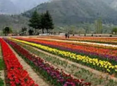 Kashmir Fishing Tour