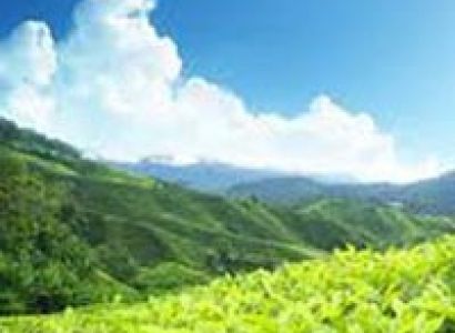 Splendid Dalhousie Khajjiar Tour