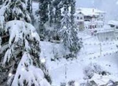 Shimla Tour