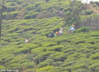 Guwahati, Kaziranga, Shillong, Cherapunjee & Guwahati Package