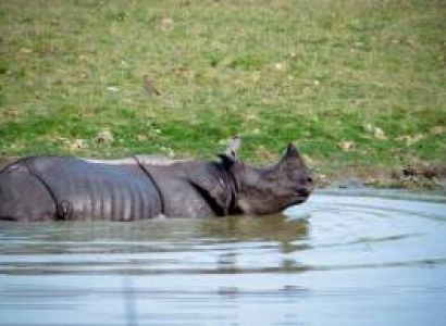 Guwahati, Kaziranga, Shillong, Cherapunjee, Guwahati Tour Package