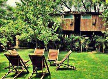 Periyar Tour with Treehouse Package