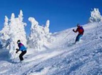 Shimla Honeymoon Package