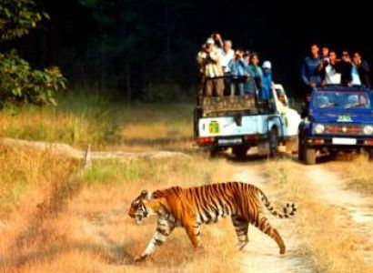 Nainital Corbett Tour