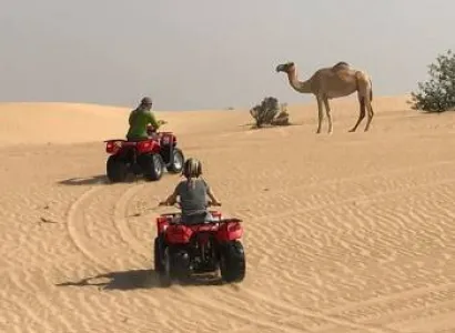 Fascinating Dubai Tour