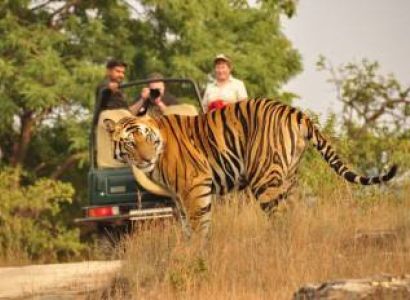 Corbett Wildlife Safari Tour