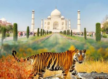 Taj Mahal Tour with Tigers