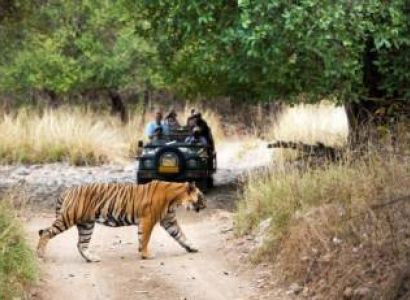 Dhikala Weekend Tour