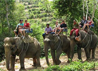 Corbett Elephant Safari