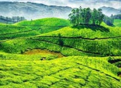 Classical Kerala 07 Days Tour