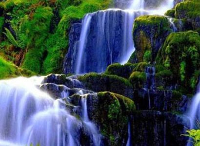 Coorg 2Night 3 Days Package