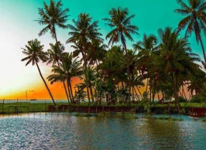 Kerala Munnar 2 Nights 3 Days