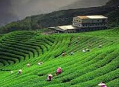 Nainital Kausani 6Nights 7Days