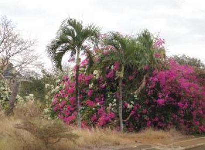 Aanari Hotel & Spa Mauritius