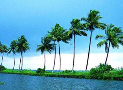 Kerala Coconut Experience Tour