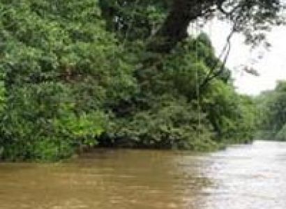 Taman Negara National Park Package