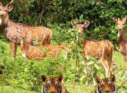 Uttarakhand - Nainital Mussoorie Corbett Park Tour
