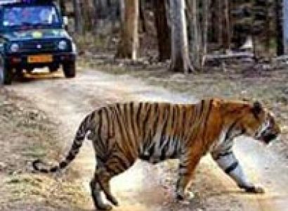 Caravan Getaway With Tadoba National Park Tour