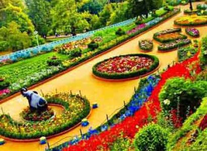 Ooty Package