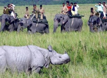 Kaziranga Wildlife Tour