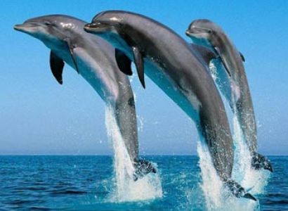 Goa 2  Star Tour Package