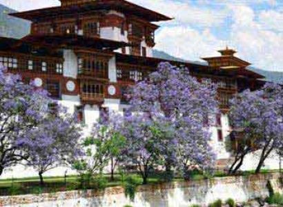 Amazing Bhutan Tour Package