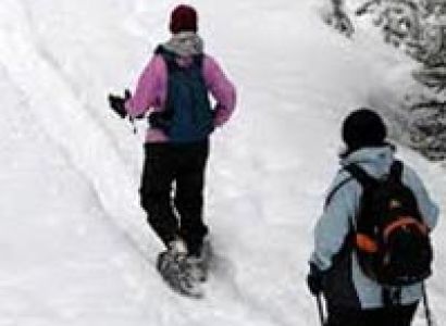 Shimla Weekend Trip Tour
