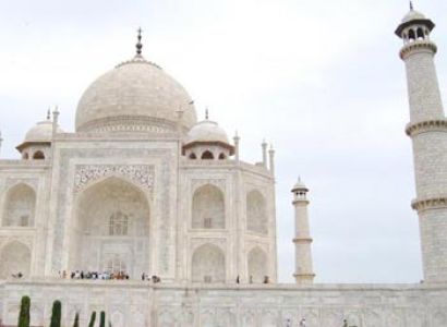 Taj and Wildlife Tour