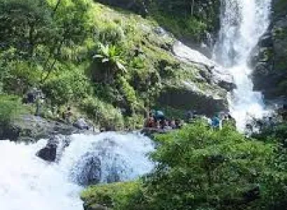 Coorg - Iruppu Falls - Nagarhole In 2 Days From Madikeri