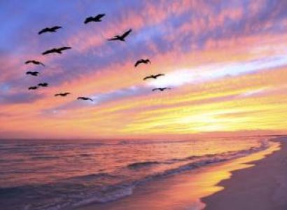 Mahabaleshwar - Harihareshwar - Alibaug  From Pune