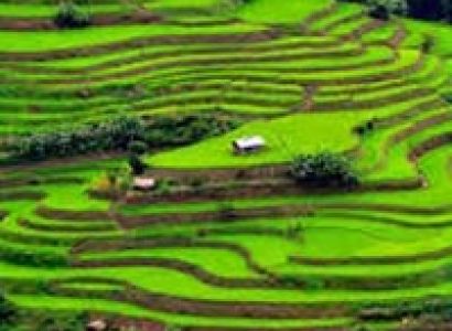 Assam Nagaland Tribal Tour