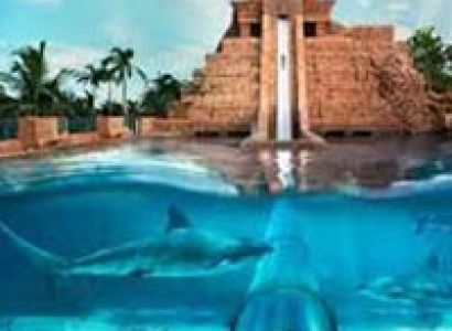 Majestic Dubai with Abu Dhabi Tour