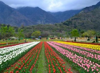 Kashmir Trip Package