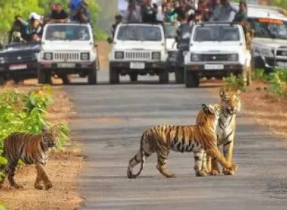 Jim Corbett Tour Package 5 Nights - 6 Days