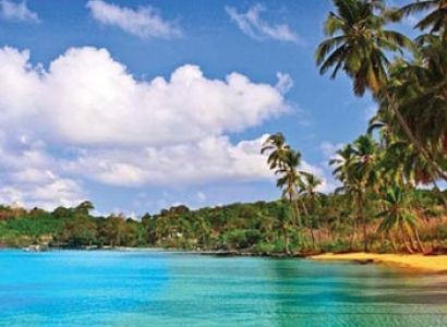Discover Andaman With Neil Island Package