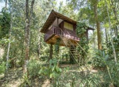 3 Days / 2 Nights Treehouse Tour Package Periyar