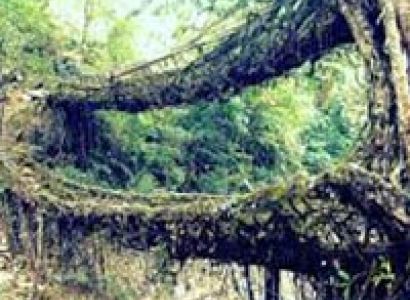 Meghalaya with Kaziranga Tour