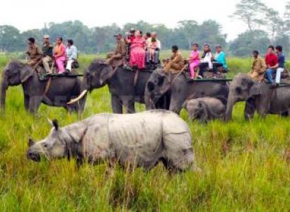 Guwahati, Kaziranga National Park Tour