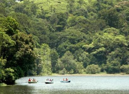 Wayanad Tour