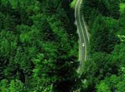 Short Tour of Wayanad