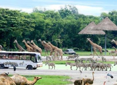 Simply Thailand Tour