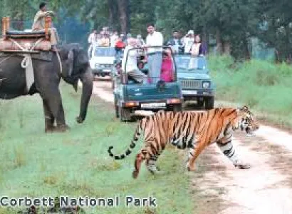 2 Night 3 Days Corbett Tour