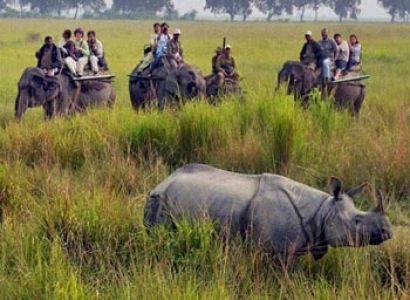 6Night 7 Days  Arunachal & Assam Tour Package