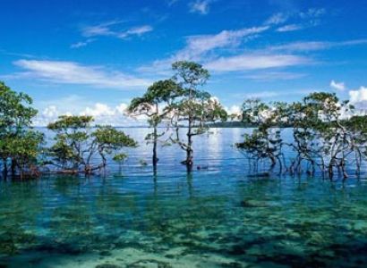 (3Night 4Days)  Andaman Island Tour