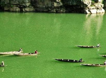 Assam Weekend Tour (2Night  3Days)