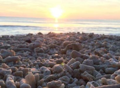 Havelock & Port Blair 6 Days Budget Tour Package