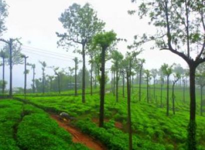 6 Days Kerala Fantastic Tour