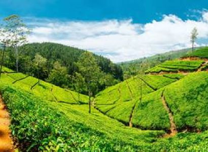 Sri Lanka Tour
