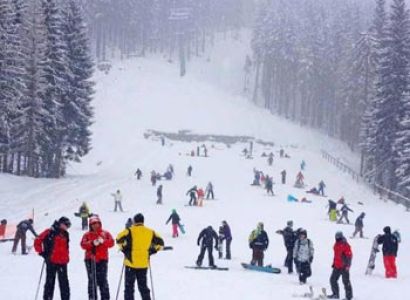 Shimla Volvo Packages