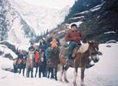 Manali Keylong Tour